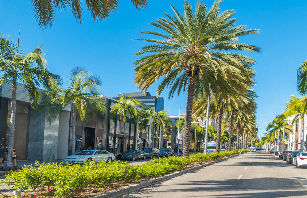 Coral Gables Lunch and Learn-1