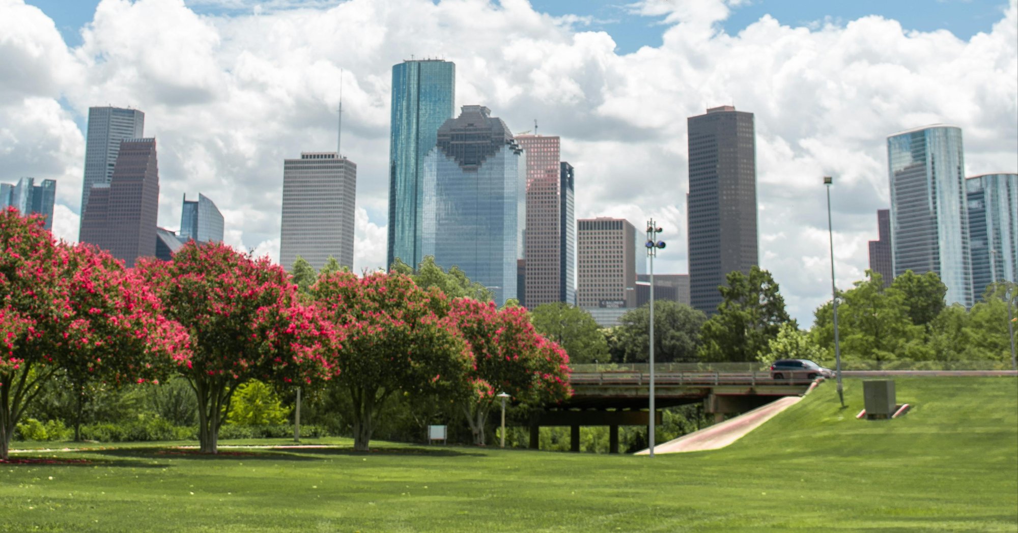 Skyscrapers and Blooming Trees, Huston, Texas, USA